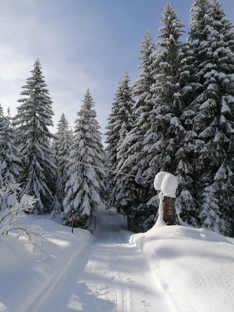 unterwegs nach Litzirüti - 03.02.2022