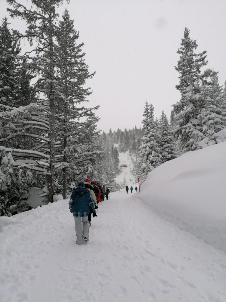 unsere Gruppe beim Winterwandern - 01.02.2022