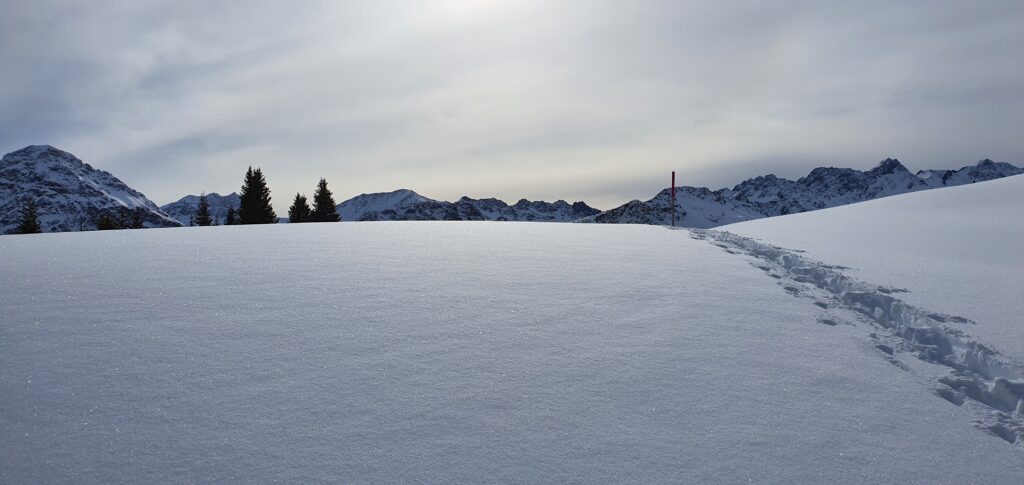 auf der Hochebene - 03.02.2022