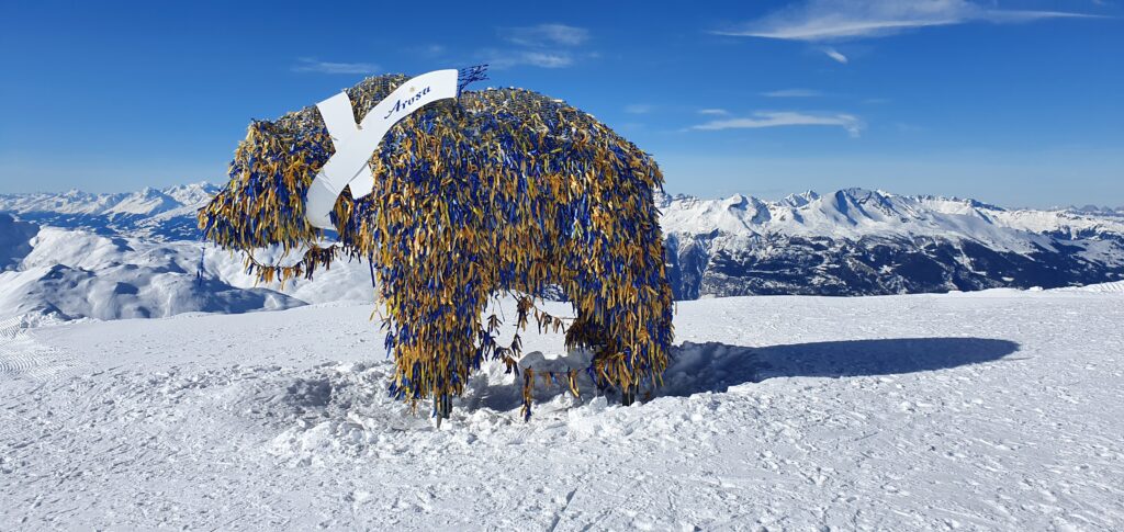 bärenstark auf dem Weisshorn-Gipfel - 04.02.2022