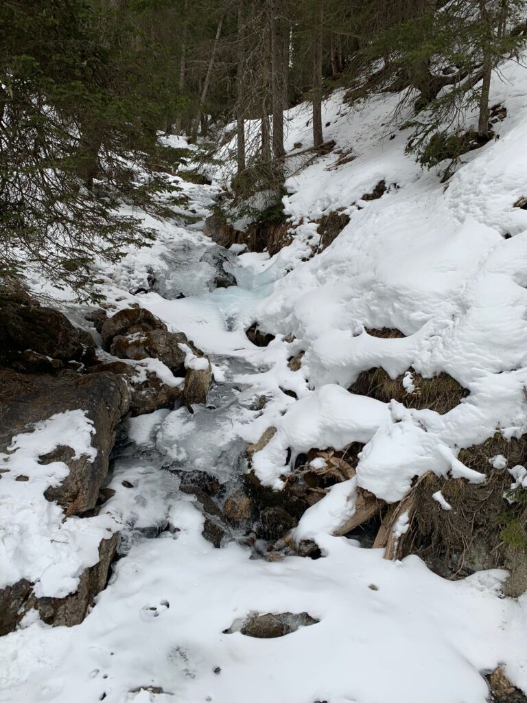 im Eichhörnliwald Richtung Innerarosa - 31.01.2022