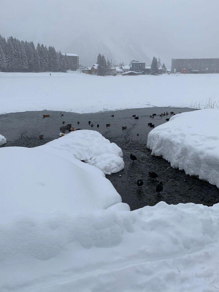 Wasserstrassen - 01.02.2022