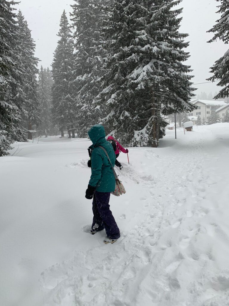 im verschneiten Winterwald - 02.02.2022