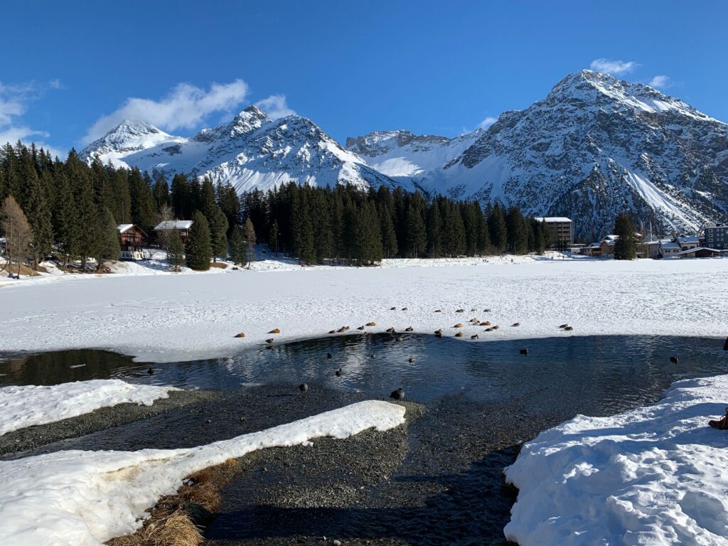 Sonnenbad auf dem Aroser Obersee - 30.01.2022