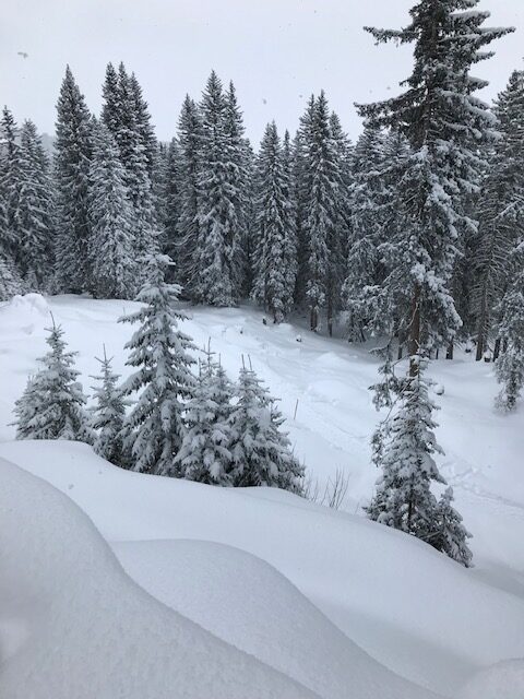 tiefverschneite Winterlandschaft - 01.02.2022
