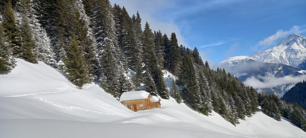 Alphüttli im Neuschnee - 22.02.2022