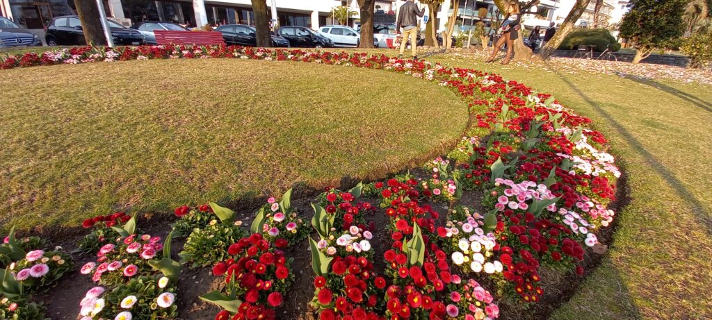 kreisrundes Frühlingsblumenbeet - 19.03.2022
