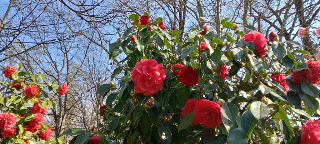 Und zum Schluss..... - 20.03.2022