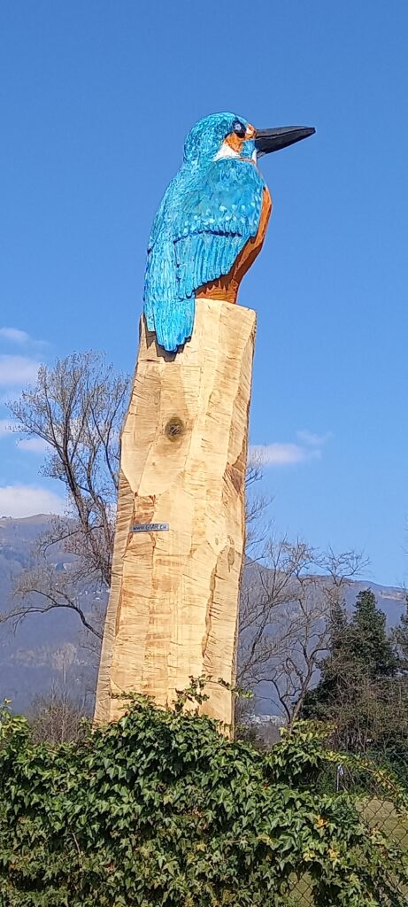 Eisvogel-Holzskulptur - 20.03.2022