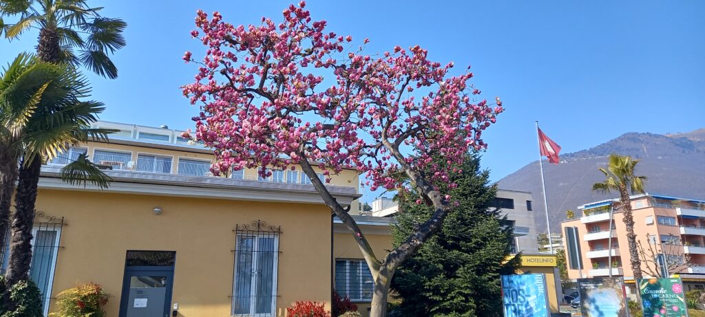 Arrivederci Ascona - 20.03.2022