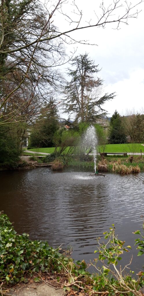 kleiner Weiher im Park im Grüene - 07.04.2022