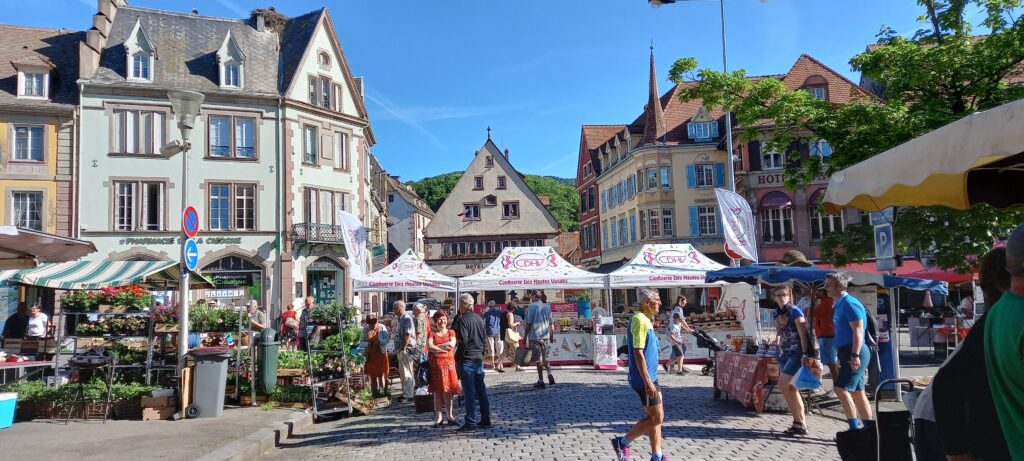 Samstagsmarkt in Münster - 21.05.2022