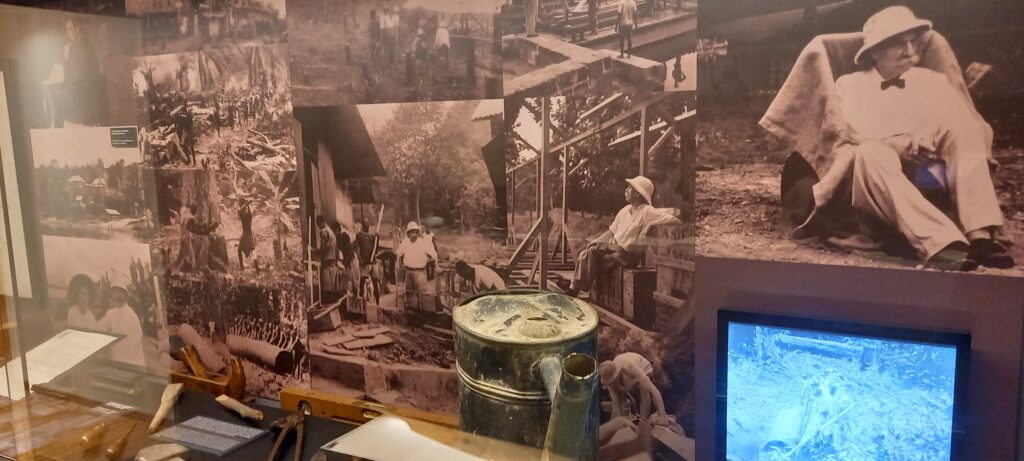 im Museum: Aus der Lebensgeschichte Albert Schweitzers - 21.05.2022