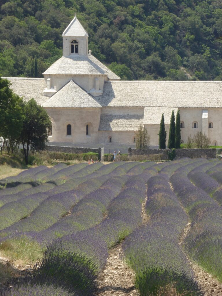 Abbaye NOTRE DAME DE SENANQUE - 19.06.2022
