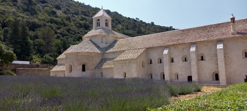 das schöne Zisterzienserkloster aus dem 12. Jh. mit den blühenden Lavendelfeldern - 19.06.2022