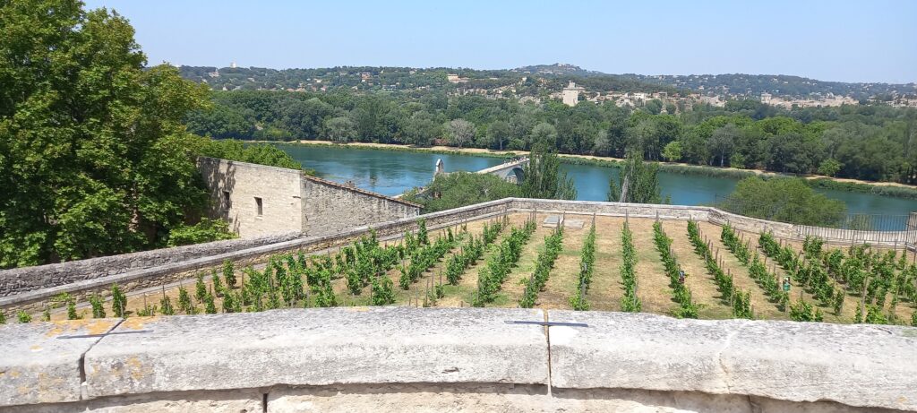 Blick auf die Rhone mit der PONT SAINT BENEZET, besser bekannt als PONT D'AVIGNON - 18.06.2022