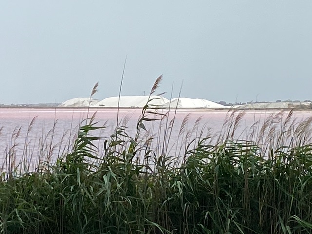 Salzhügel in der Nähe von Aigues-Mortes - 23.06.2022