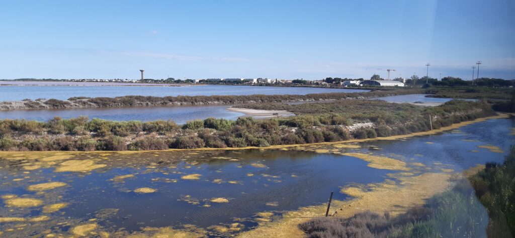 Landschaftsbilder der Camargue - 24.06.2022