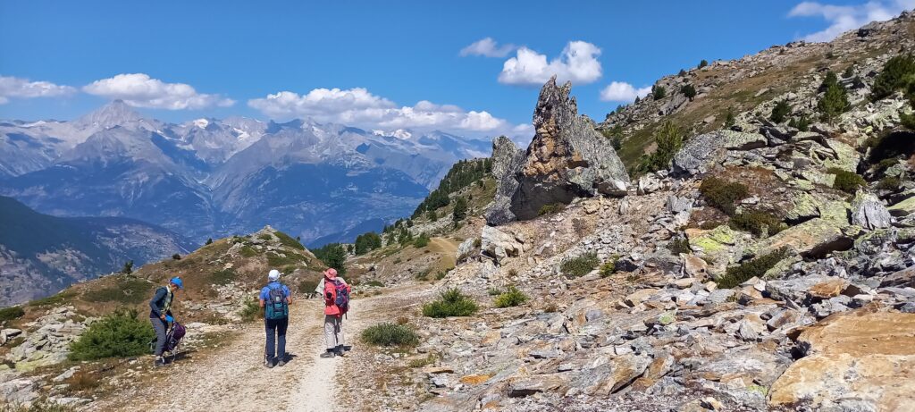 Da blieb nur das Staunen ab soviel Einfallsreichtum der Natur - 15.8.2022