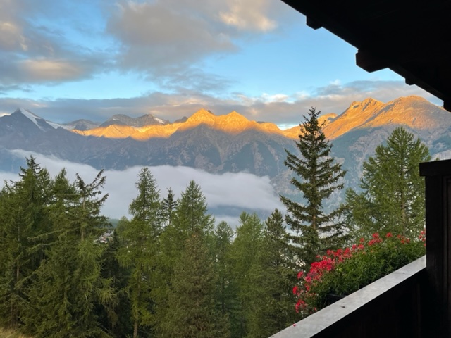 Farbenspiel der Natur frühmorgens - 16.8.2022