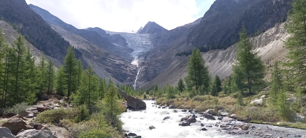 ..... zum Riedgletscher - 16.8.2022
