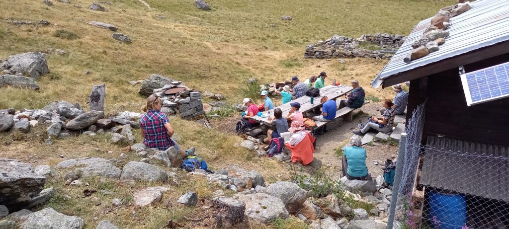 Picknick- und Handyzeit - 16.8.2022