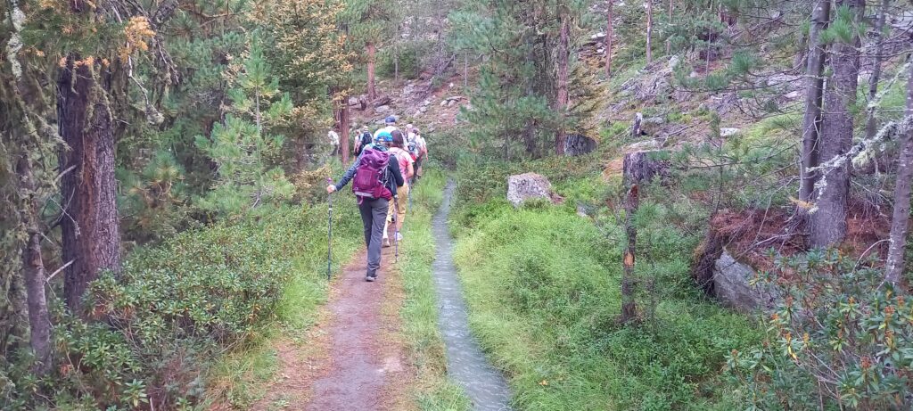 Unser erster Wandertag entlang einer Suone - 14.8.2022
