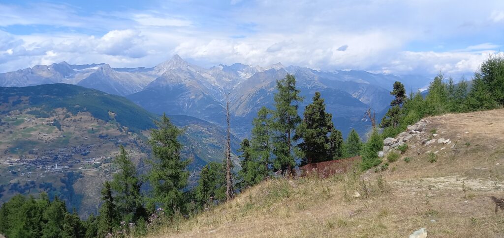 Auf dem Weg Richtung Hannigalp - 14.8.2022