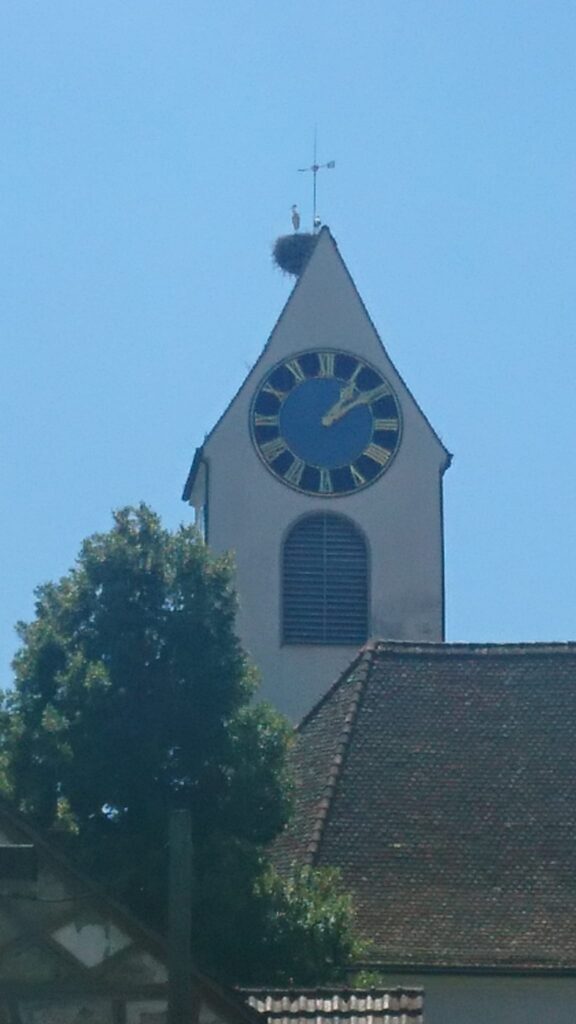 Kirchturm mit Storchennest in Stadel bei Niederglatt - 01.08.2022