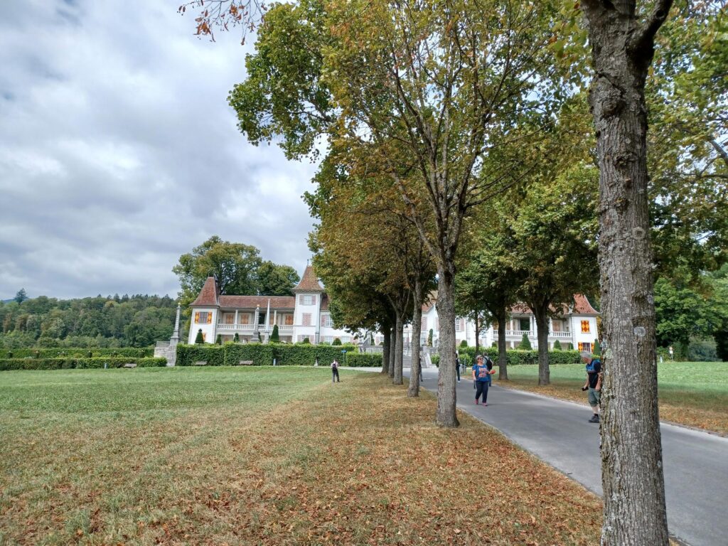 Zwei Baumalleen führen zum erhöht gelegenen Schloss Waldegg - 07.08.2022