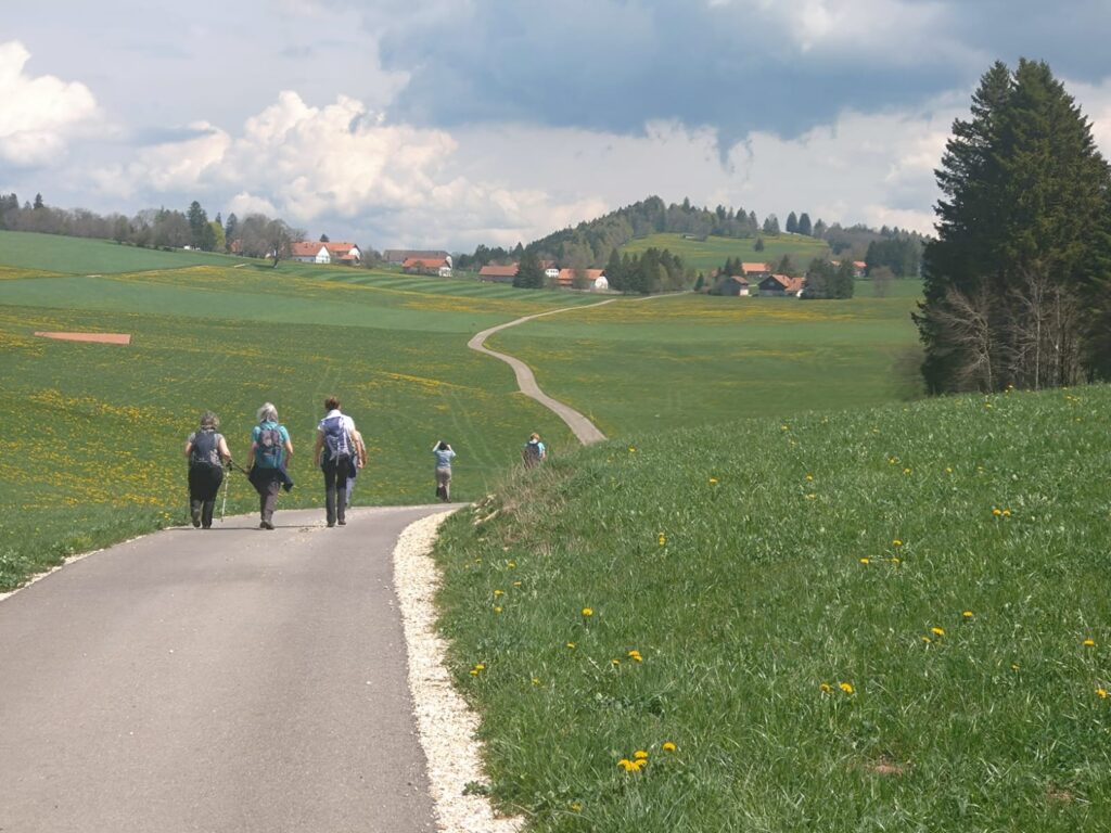 blühende Wiesenlandschaften auf unserem Wanderweg - 05.05.2023