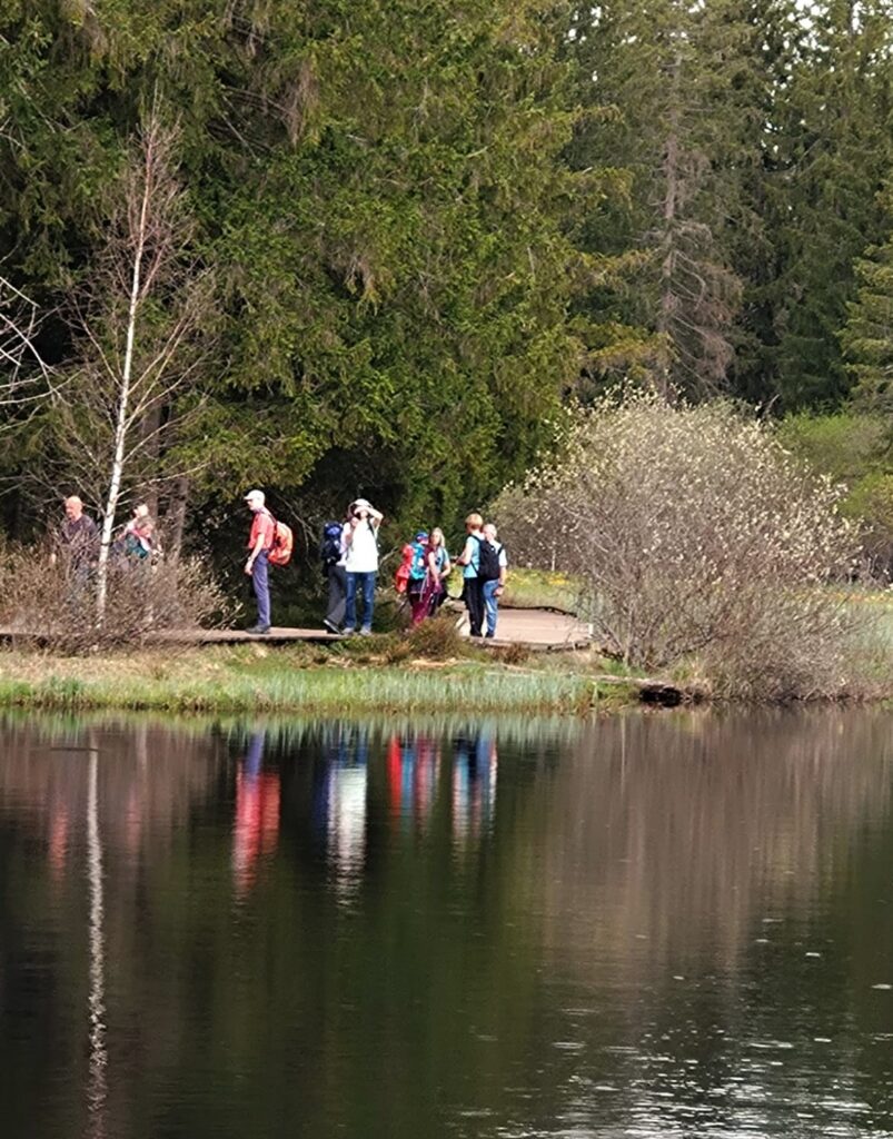 Am Etang de la Gruère - 05.05.2023