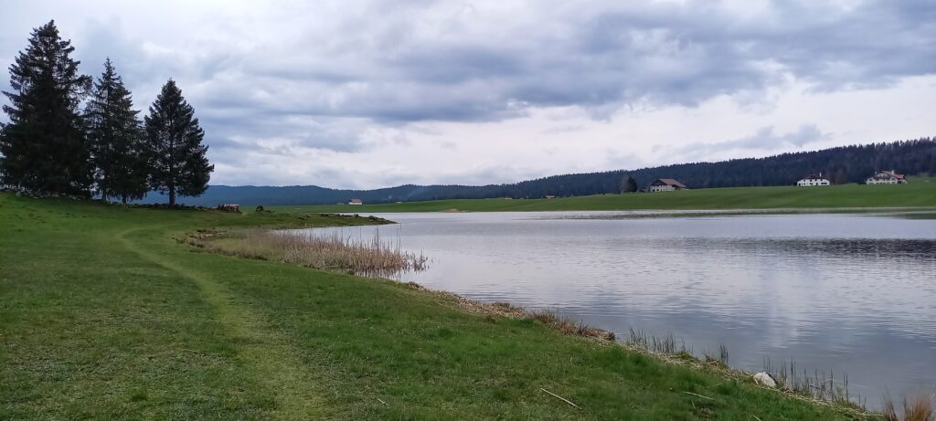 Wanderweg entlang dem See - 06.05.2023