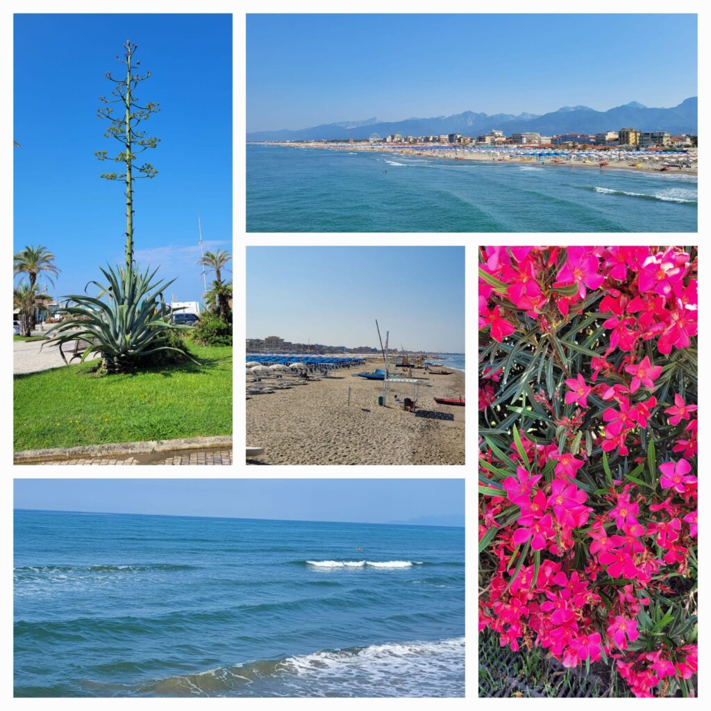 Collage vom Lido di Camaiore- 12.06.23
