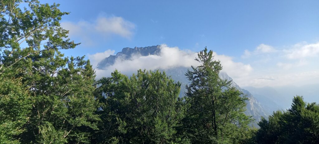 Blick auf den Traunstein (1691 m) - 15.9.2023