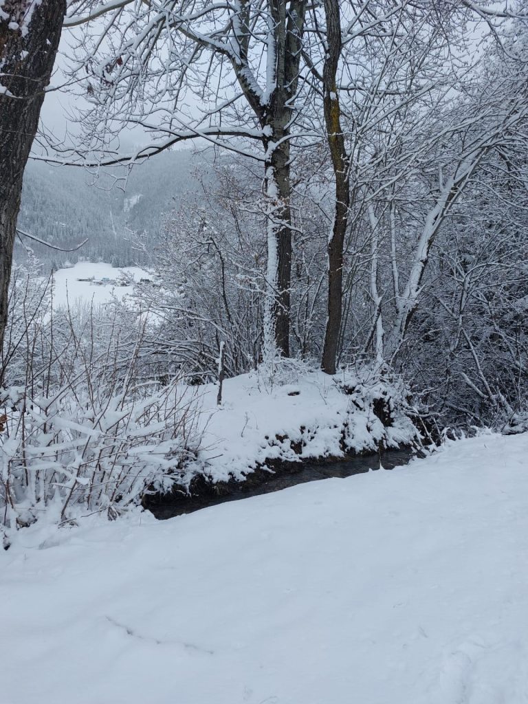 Natur im Winterkleid - 06.03.2024
