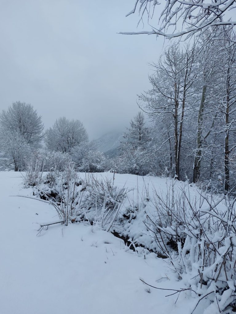 alles frisch verschneit - 06.03.2024