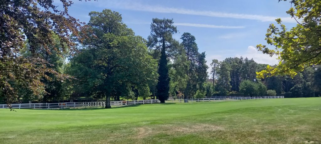 ..... und weiter durch den Golfplatz - 13.08.2023