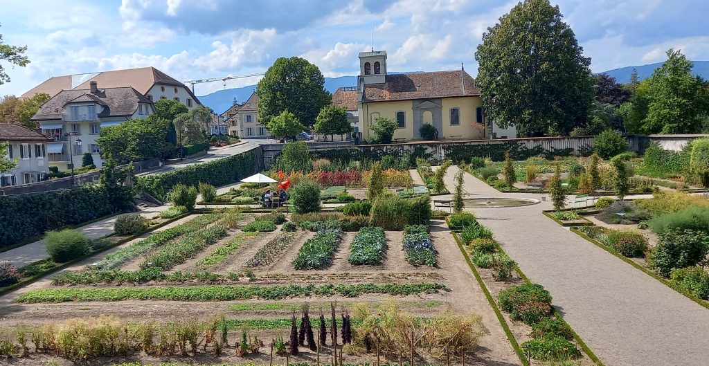 Pflanzen- und Kräutergarten hinter dem Schloss Prangins - 13.08.2023
