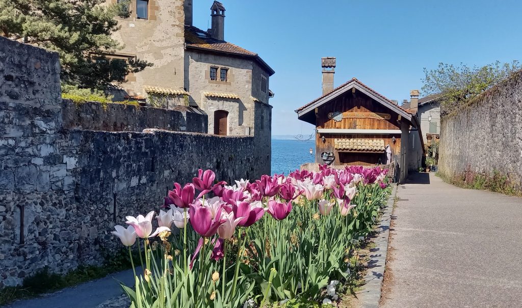 rund um Yvoire - 25.04.2024