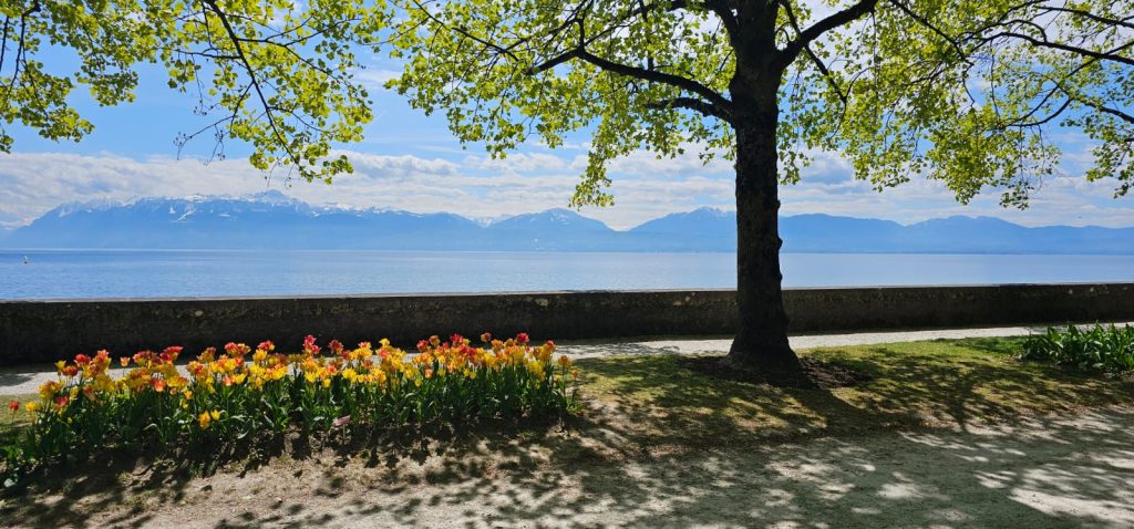 an der Uferpromenade von Morges - 25.04.2024