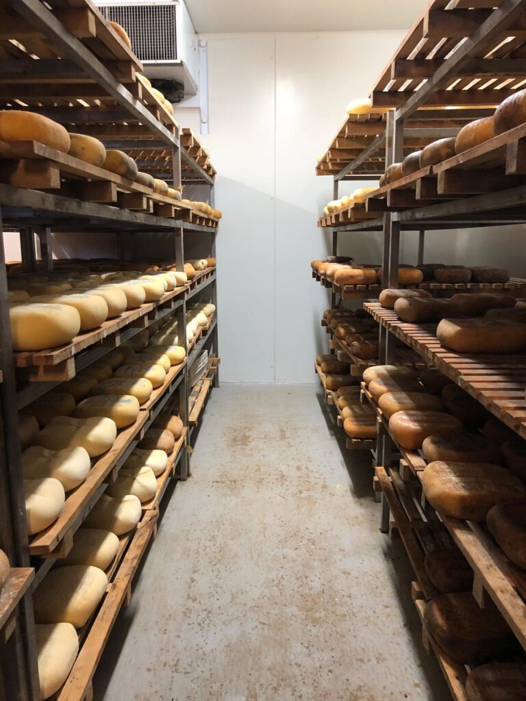 Käsekeller: Hier reift der Käse zwischen 2 und 8 Monaten - 11.06.2024