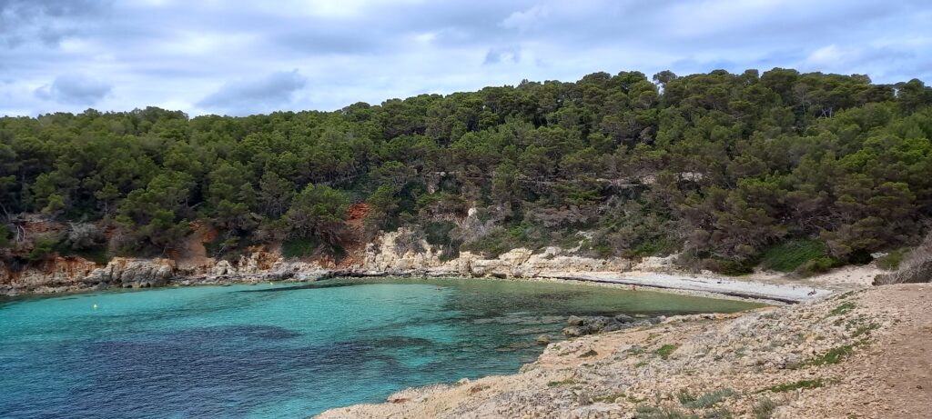 Tagesziel erreicht: Die malerische Bucht CALA ESCORXADA - 12.06.2024