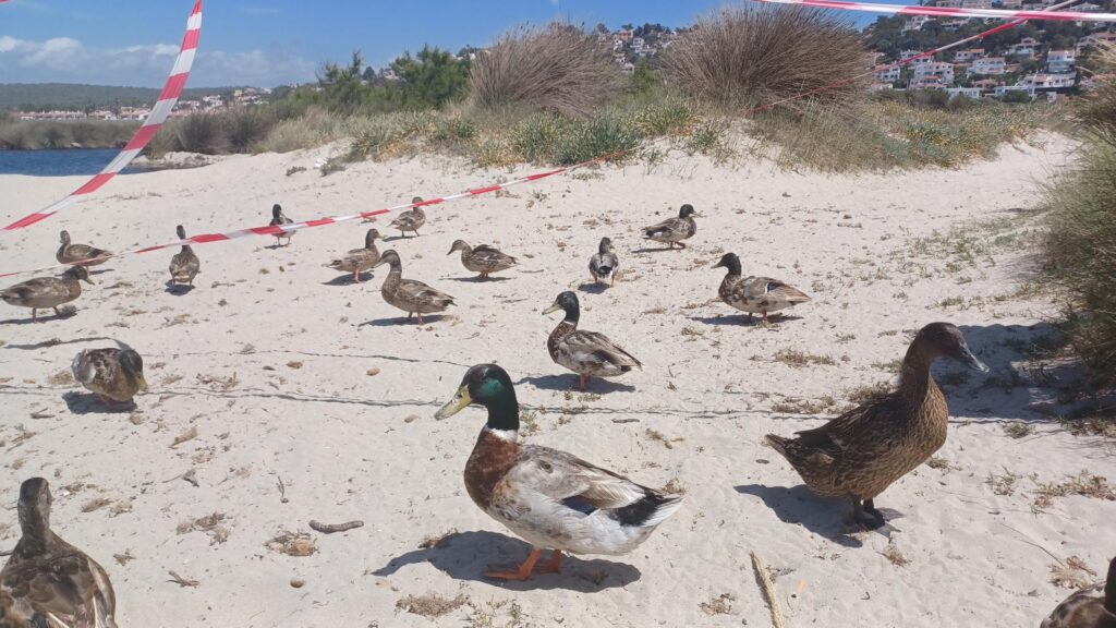 Strandvergnügen abseits der Menschenmassen - 15.06.2024