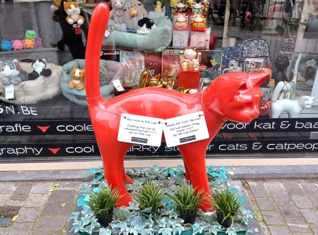 Welche Bedeutung hat wohl diese hübsche, rote Katze? - 25.09.2024