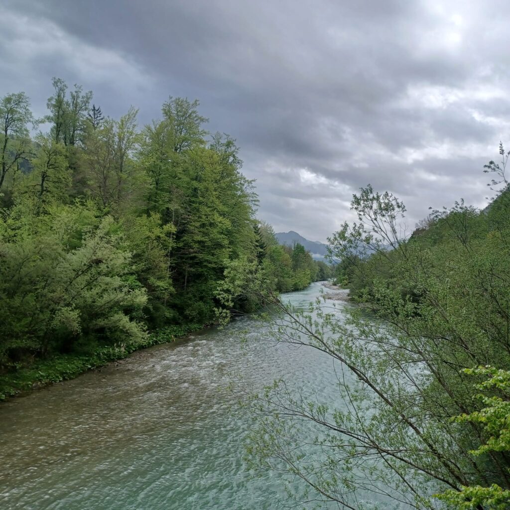 La Sarine (Saane) - 03.05.2025