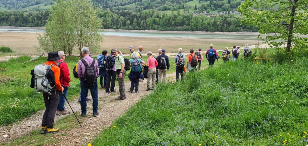 Wanderung von Bulle Richtung Broc, vorbei am Lac de la Gruyère mit nur sehr wenig Wasser zu dieser Jahreszeit. - 04.05.2025