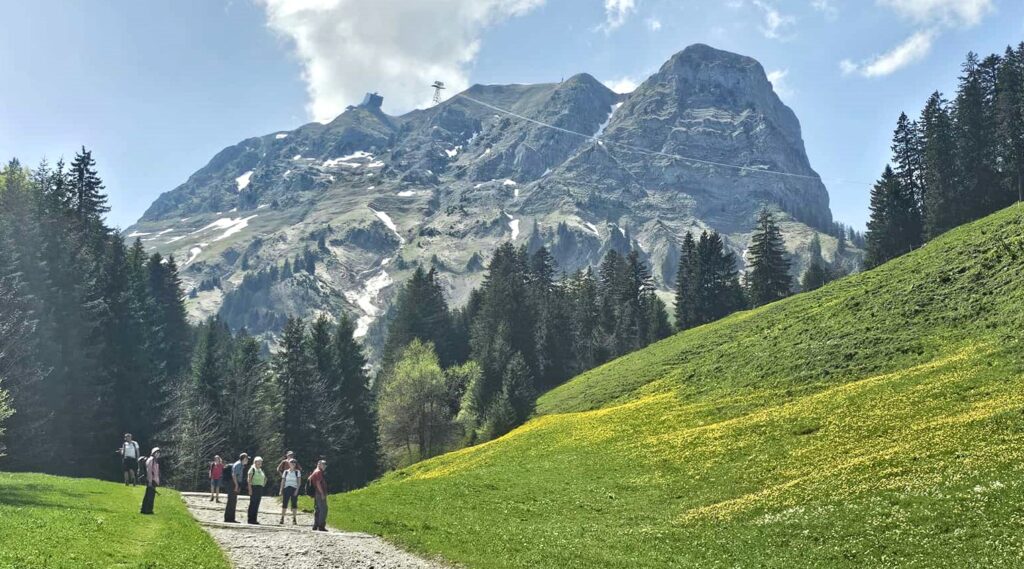 Bis zum Etappenziel der Mittelstation, Plan-Francey, geht es noch ein Stück weiter hoch auf 1550 m. - 02.05.2025