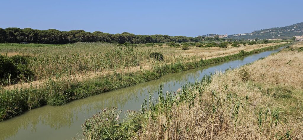 Im Naturreservat Diaccia Botrona - 13.06.2025