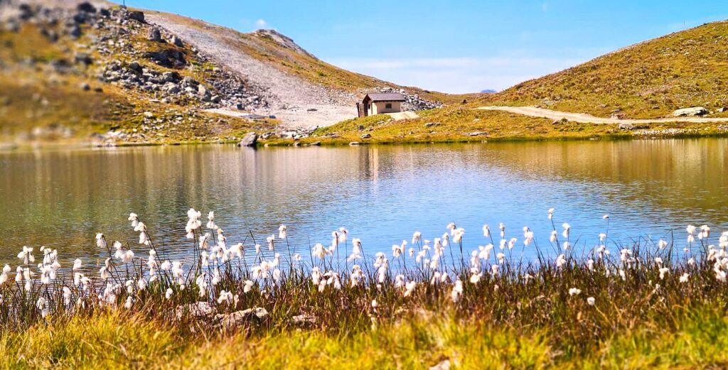 diamantene Bergseeidylle - 26.08.2025, Erika